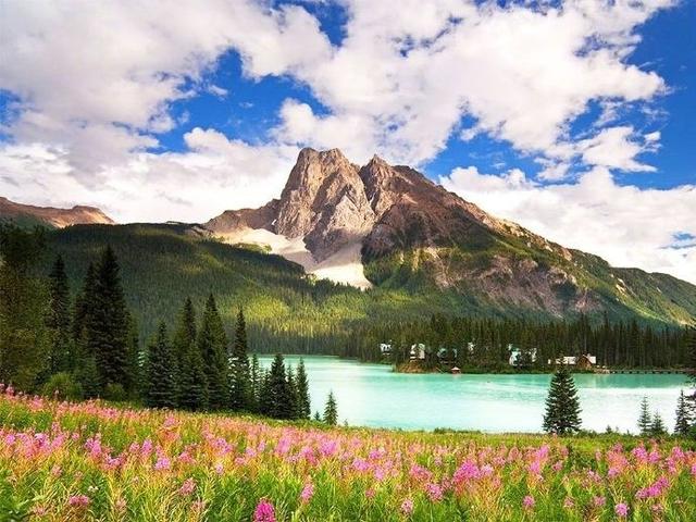 ��(l��)־���`�u����(j��ng)���Z䛶̾䣬׌�˳�M��־��